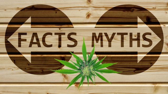 Debunking Common Myths about Medical Marijuana