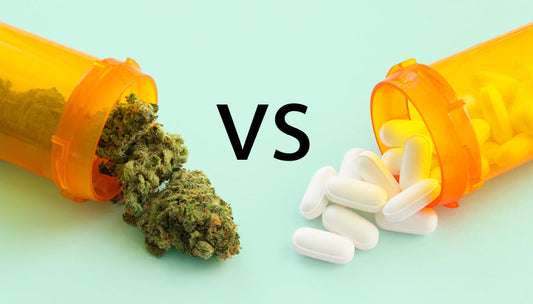 Combating the United States Opioid Epidemic: The Potential Role of Medical Marijuana