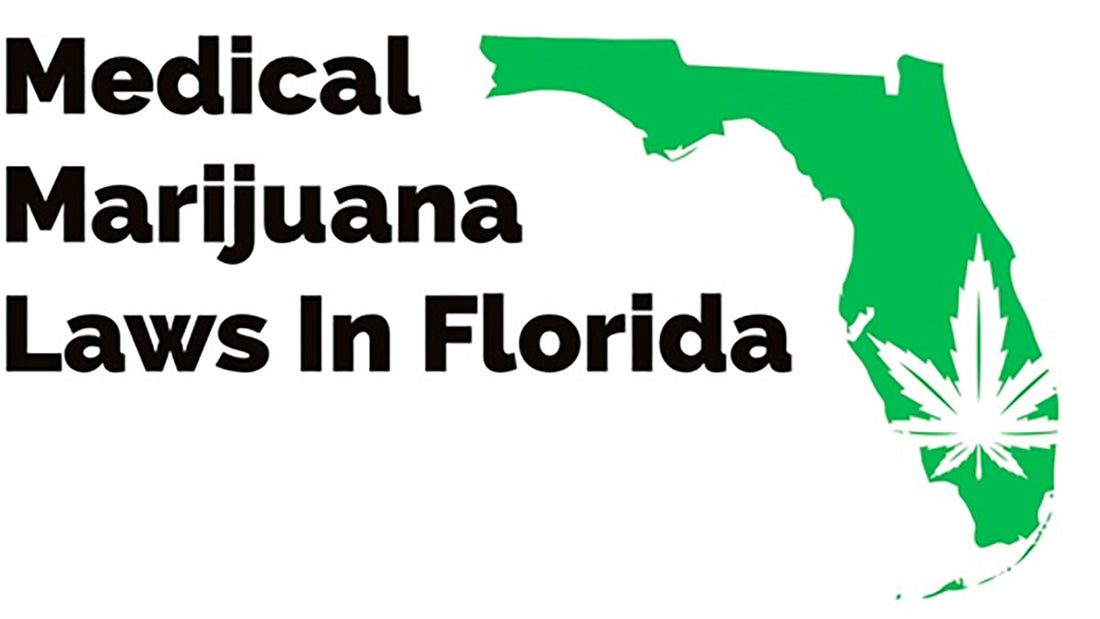 Understanding Cannabis Laws in Florida: Medical Use, Decriminalization, and the Push for Legalization